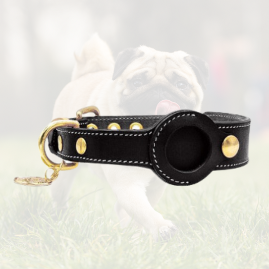 Luxury Genuine Leather Airtags Pet Collar- Black